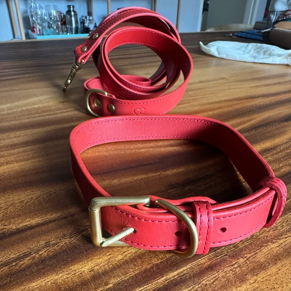 Collar and leash set from Genuine Canine
